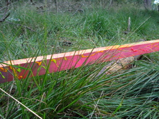 Detail 'Streep erdoor' (september 2010)