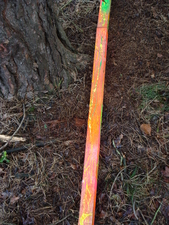 overzicht 'Steep erdoor' (26 meter, door bos/grasl