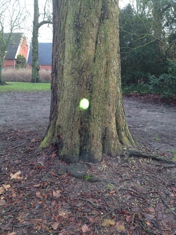 20131226_081148802_iOS.jpg 20131226_081148802_iOS.jpg