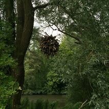 overzicht plek in Amsterdamse Bos